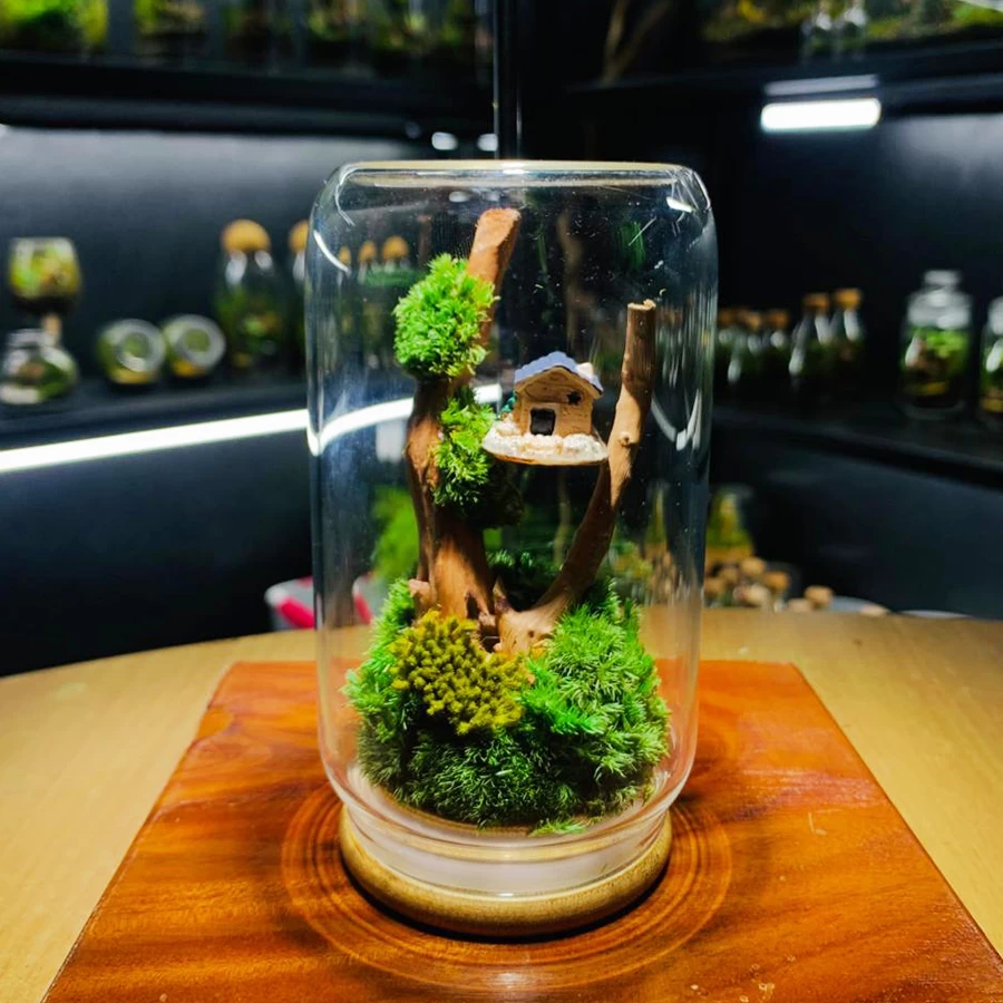 Mini Treehouse Preserved Moss Terrarium – Handmade Zero-Maintenance Décor