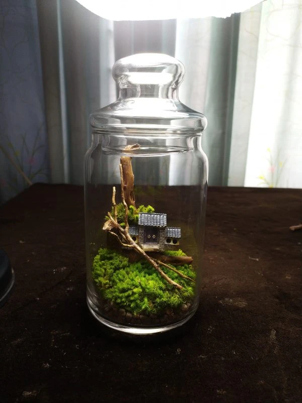 Secret House Tiny Terrarium – Compact Fairy Tale Garden for Home, Office & Gifts