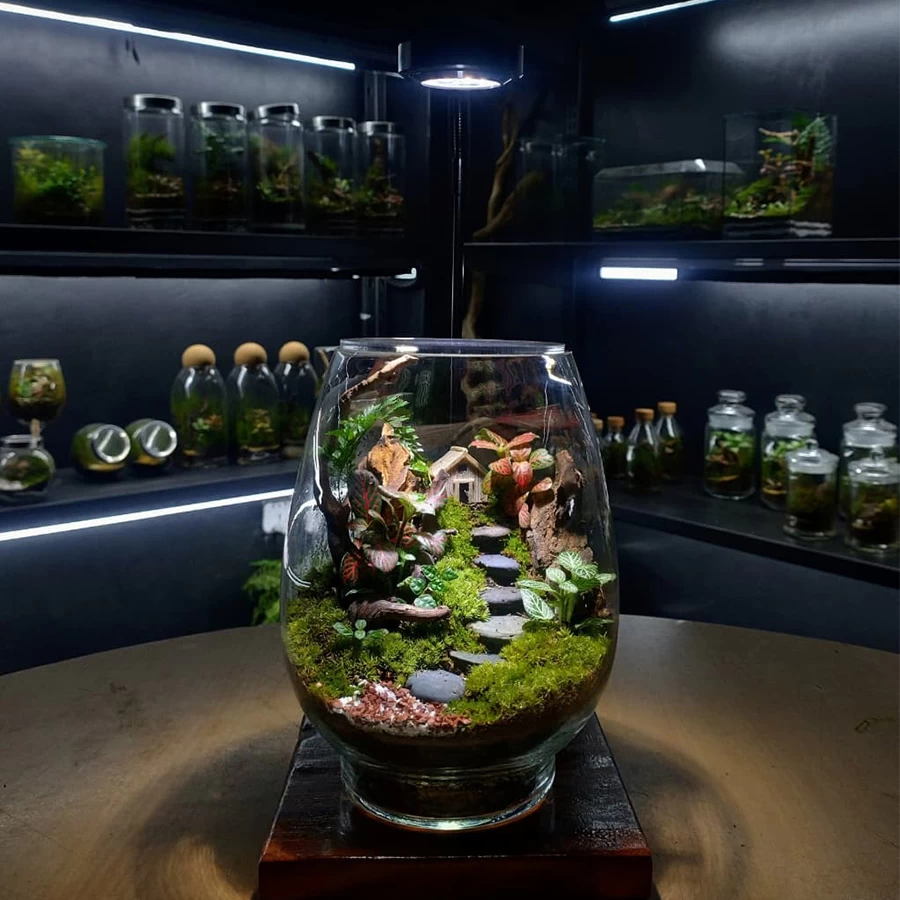 Miniature Cottage Path Terrarium – Handcrafted Indoor Garden
